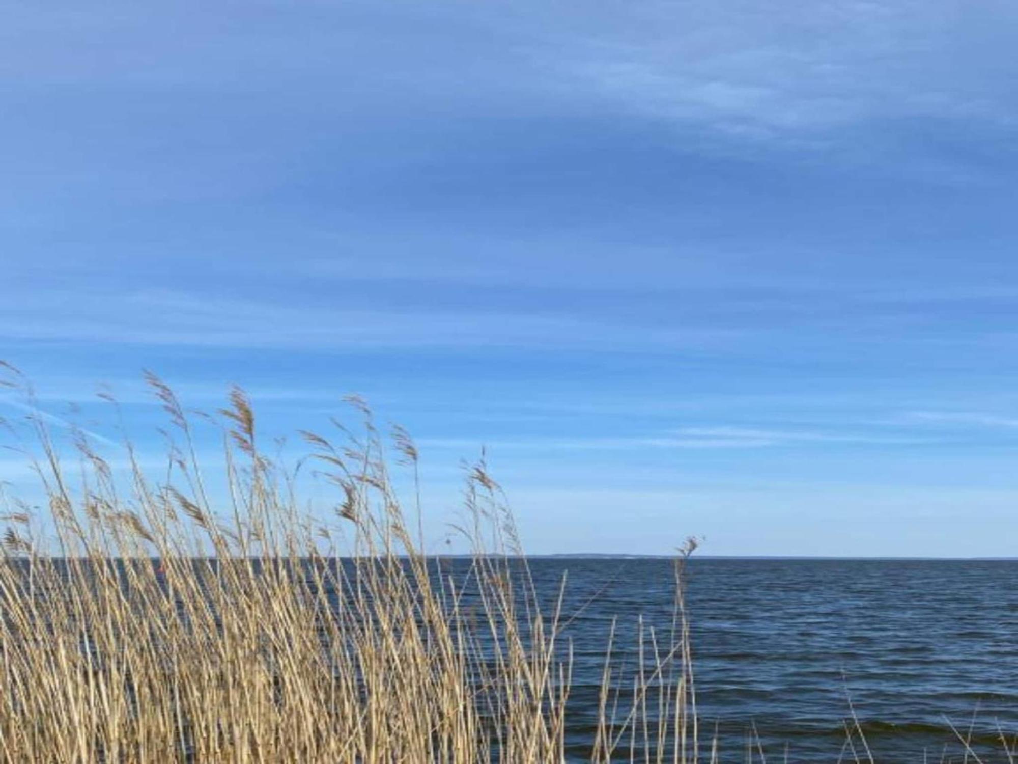 Welcoming Holiday Home In Gegensee Near Szczecin Lagoon Ahlbeck  Exterior photo